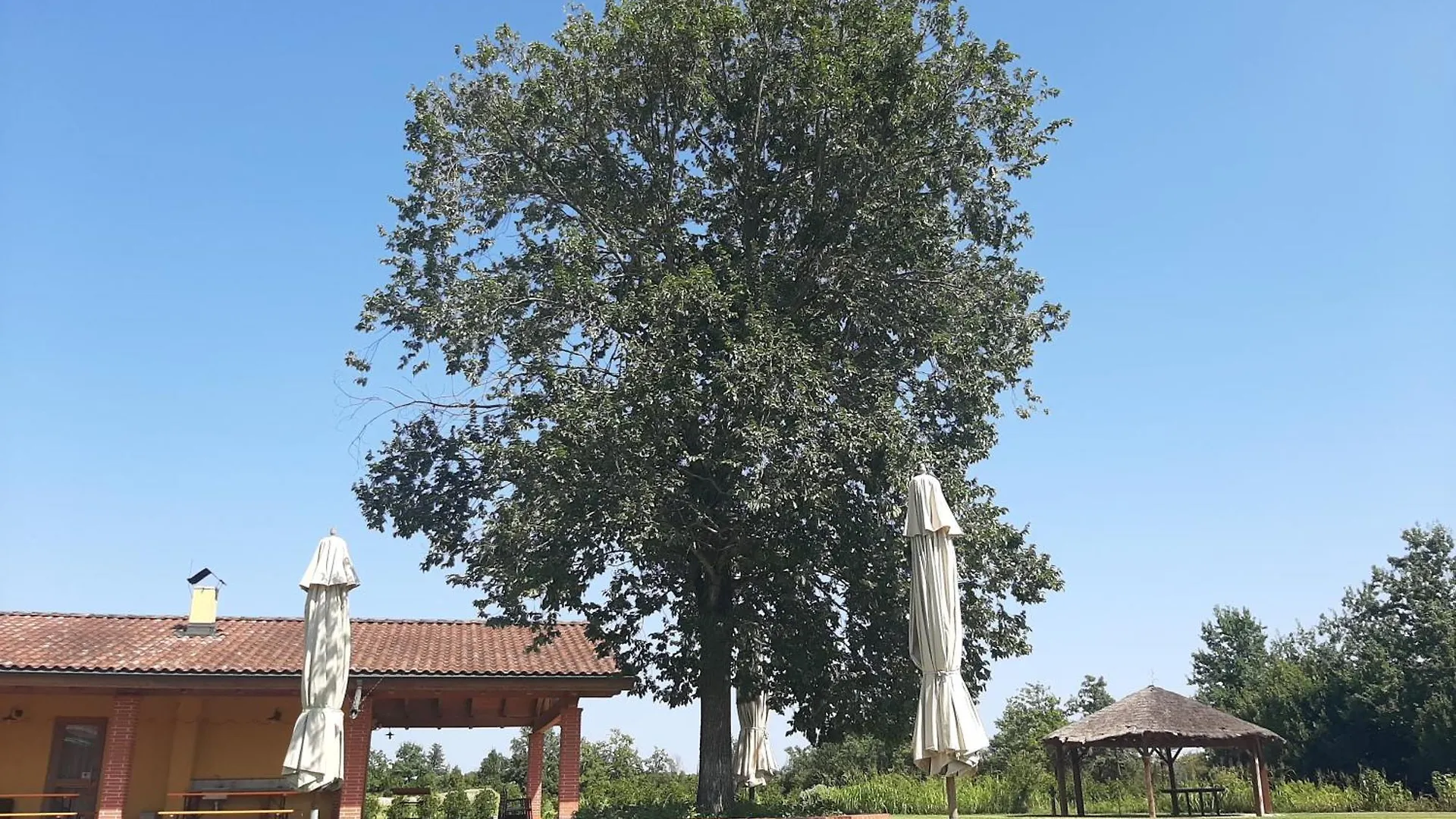 Farm stay Corte All'Olmo Verona